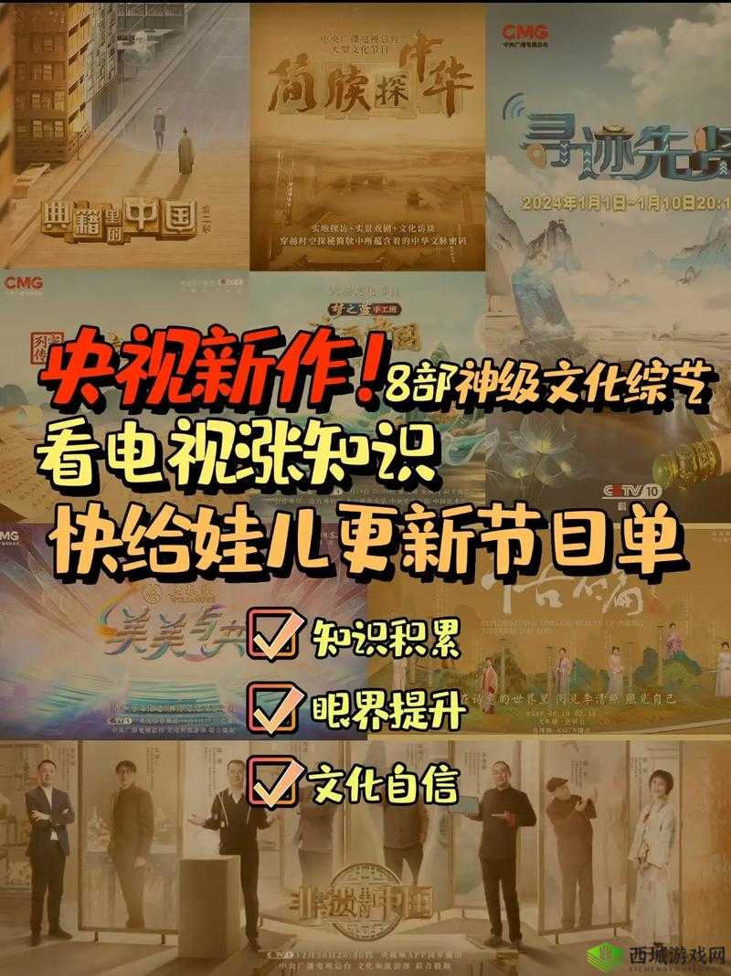 17c 网站换哪里去了：探寻其踪迹