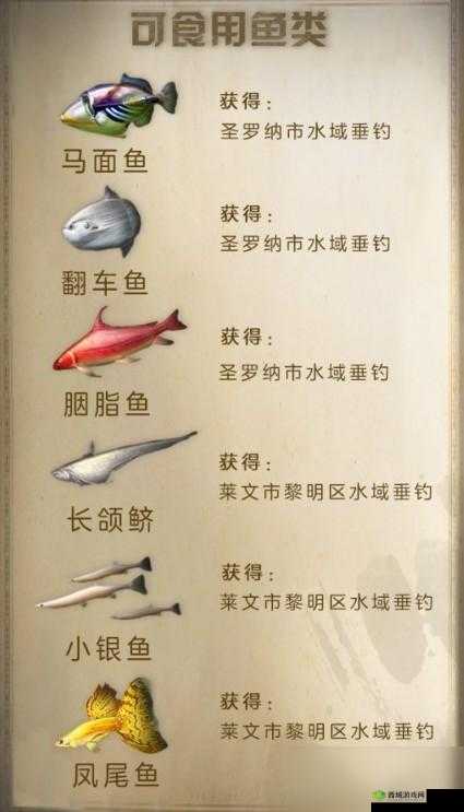 明日之后:探寻鲨鱼的位置