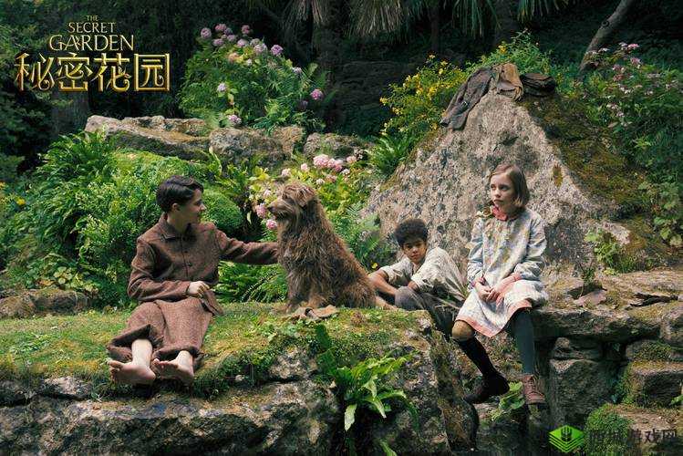 秘密花园 base.apk 安装包：探索未知的奇幻世界