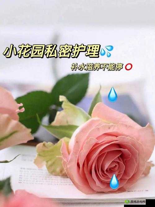 如何安抚自己的私密花园：安抚小花园的技巧和方法