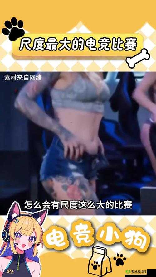 俄罗斯女 CSGO:电竞战场上的飒爽英姿