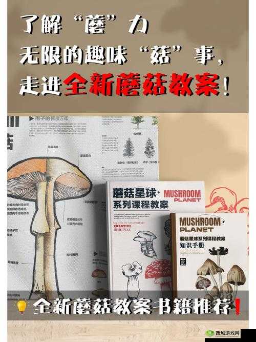 授课方式 by 蘑菇：精彩课程来袭