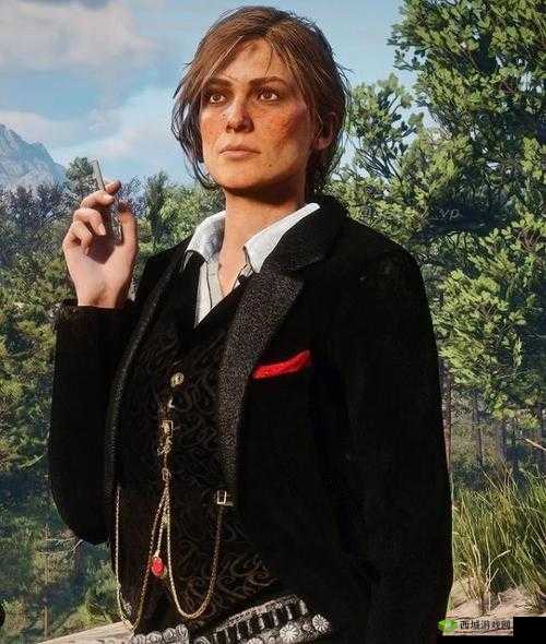 荒野大镖客:40 岁阿姨的传奇冒险