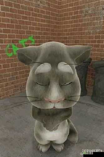 会说话的汤姆猫面部运动绝佳表现与其触发技巧全解析