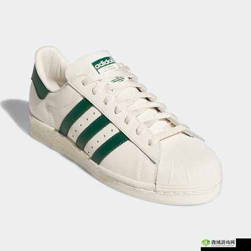 三叶草 gw6797:独特的魅力展现