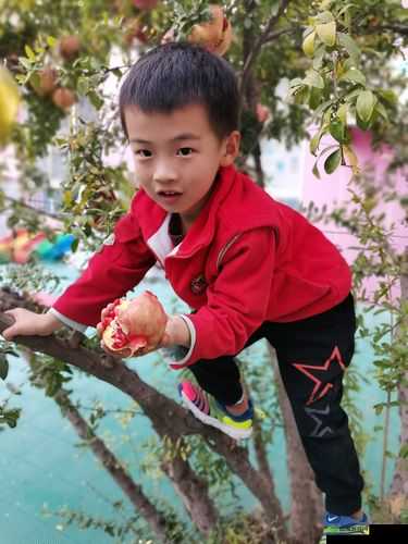 初遇去吧皮卡丘，训练师觉醒的别样精彩体验分享