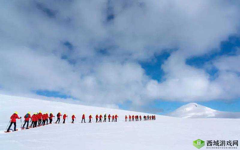 狂野少女免费完整版电影：震撼视觉之旅