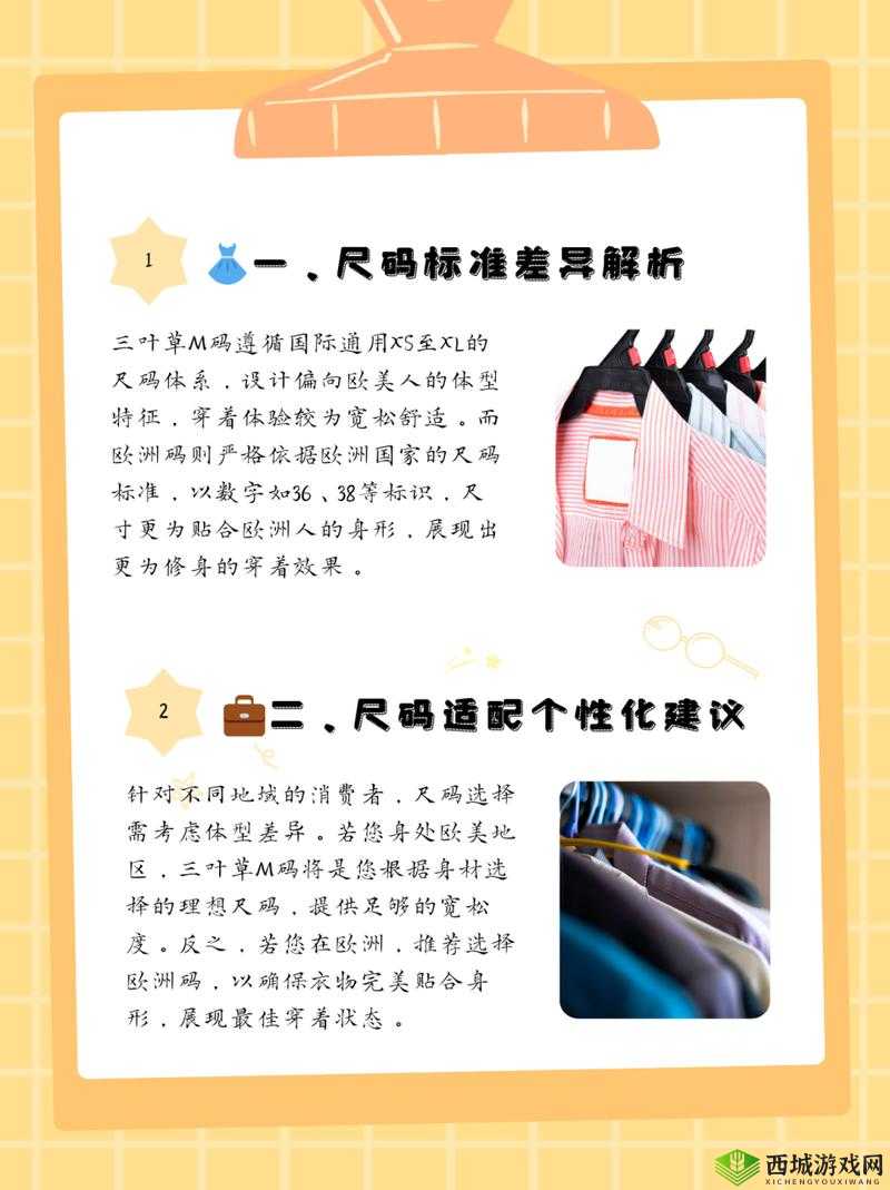 三叶草 M 码和欧洲码的区别分析