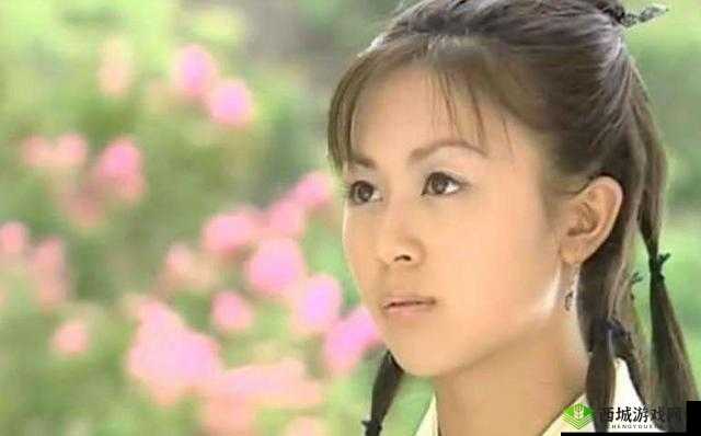 角色扮演系统 npn 赵青蔓:一场禁忌的游戏