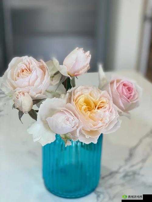 紫龙插花芯放水果：一场神秘的艺术表演