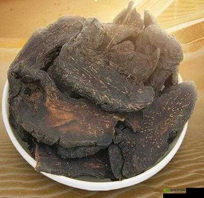 夜战十女不败草药：神奇功效大揭秘