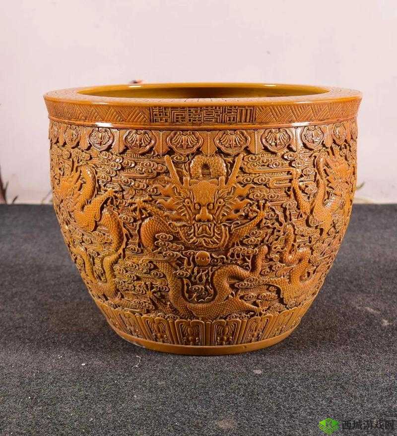 乾隆九龙大缸 h9:盛世风华的见证