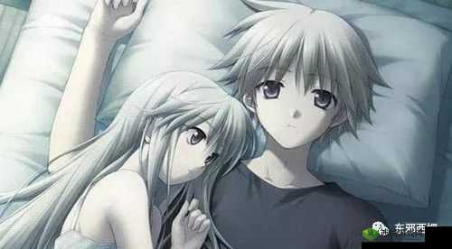 海角封神兄妹：WWW.17COM 背后的秘密