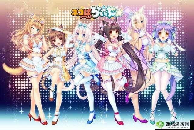 猫娘可爱拔萝卜趣味十足