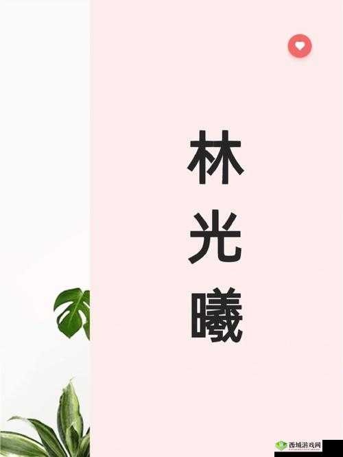 再试一次by林光曦主要讲了什么：深度解析