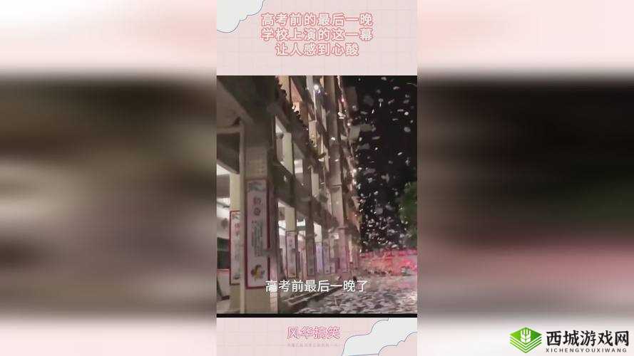 911 爆料网红领巾瓜报入口：深入揭秘事件真相