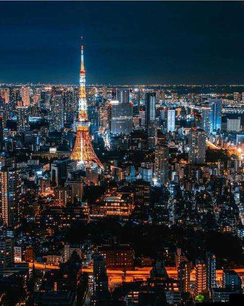 东京熟下载：精彩内容不容错过