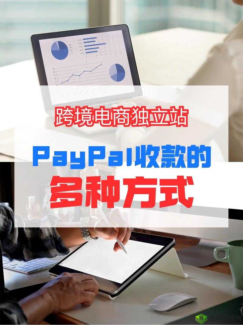 PAYPAL 未满十八岁相关事宜探讨