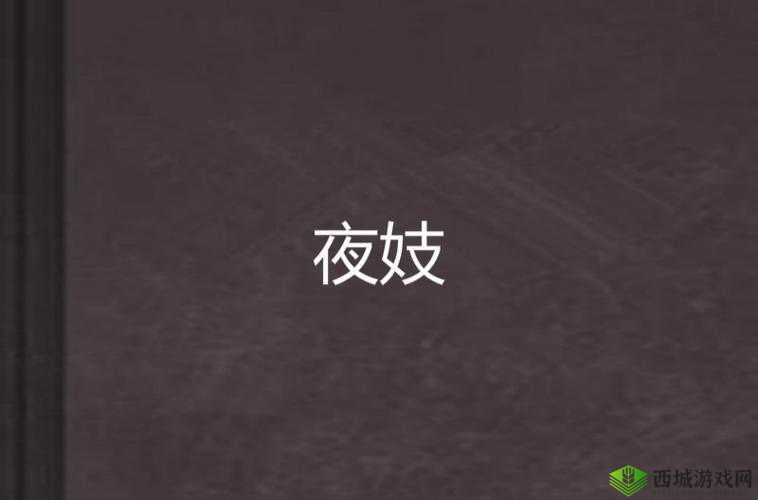 夜夜爽妓女 8888 视频免费观看：成人激情大片，你懂的