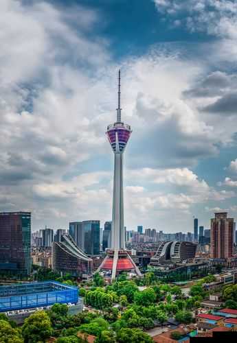 适合一个人看的电视成都推荐