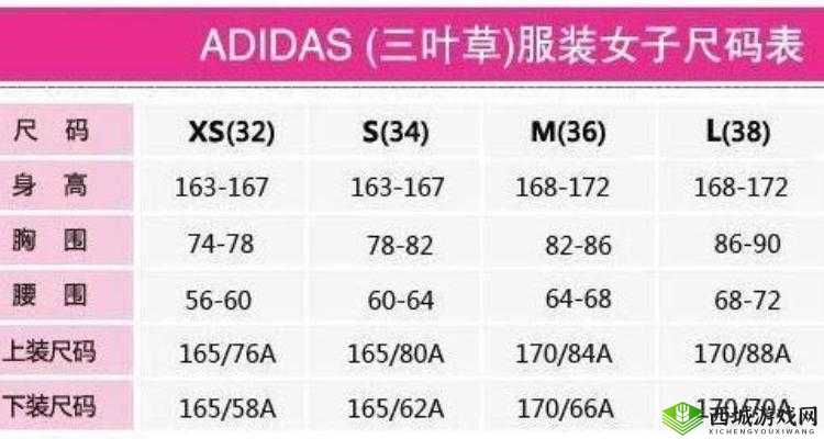 等级提升:三叶草 m 码和欧洲码区别