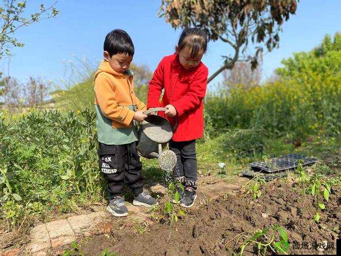 开垦妈妈肥沃的土地好吗：亲子互动的新方式