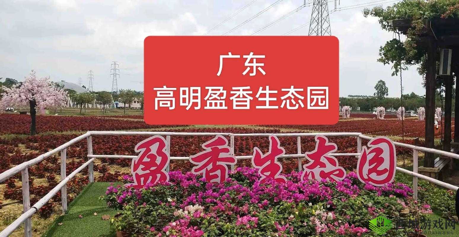 成品大香煮伊在 2024 一区:探索未知的神秘世界