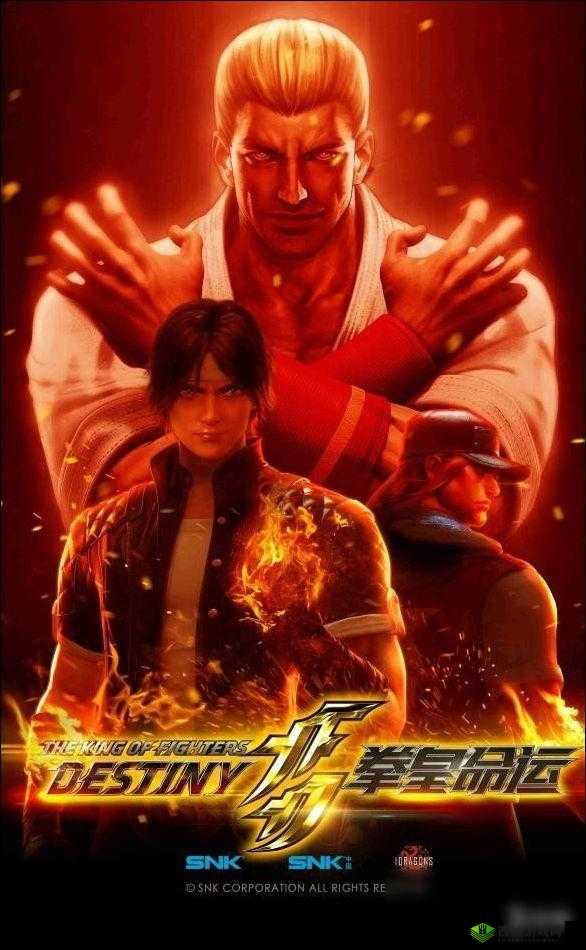 《拳皇命运武馆基金：平民玩家的明智之选》