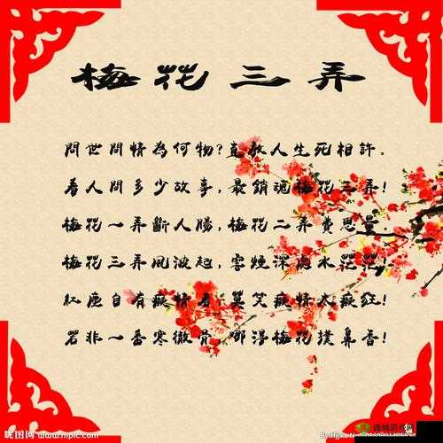 男女之间梅花三弄是啥意思：深度解析