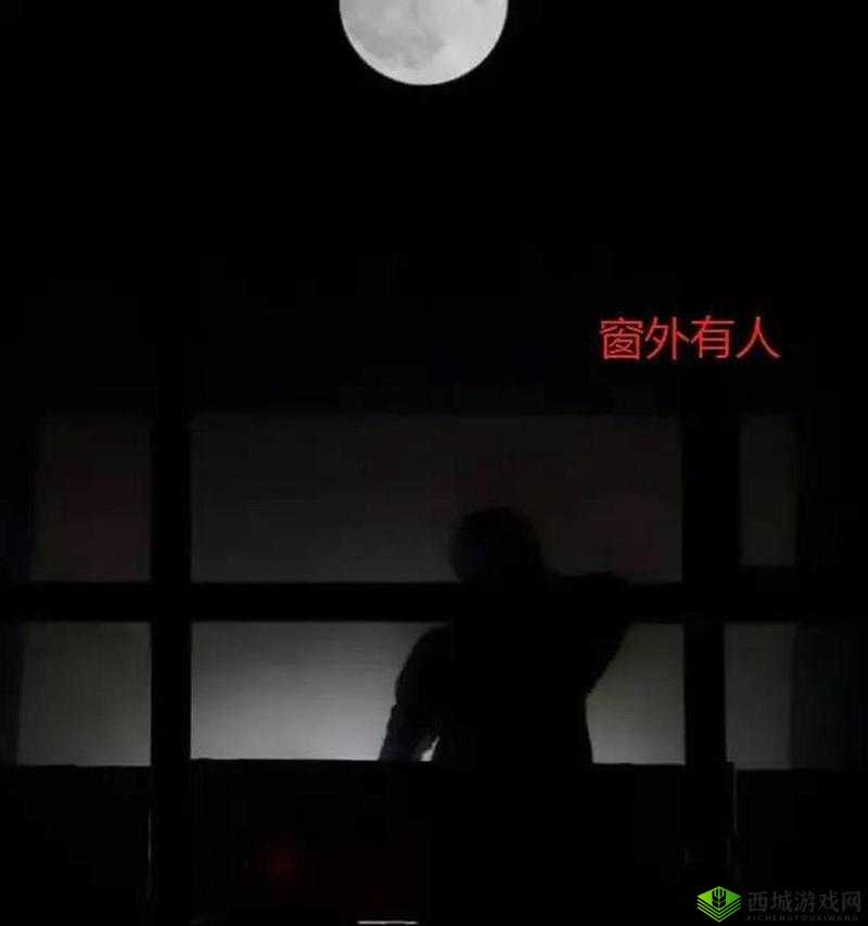 三更半夜外站midnight：寂静时分的神秘所在