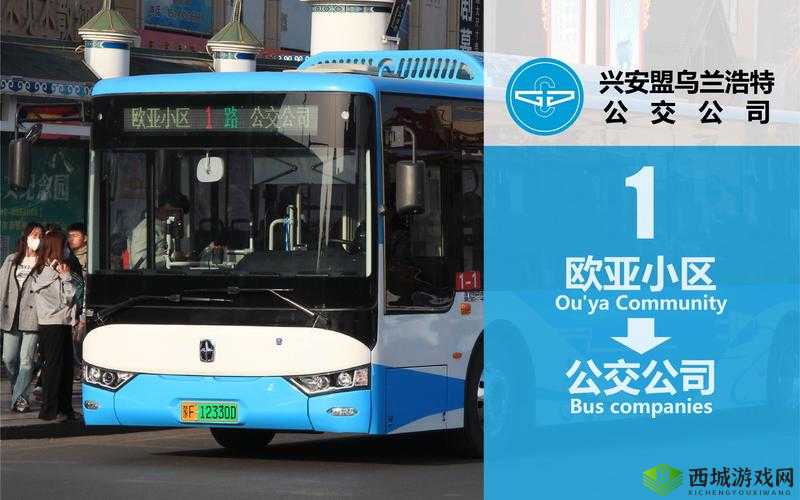 苏苏的日记公交车：迷失在都市的情感之旅