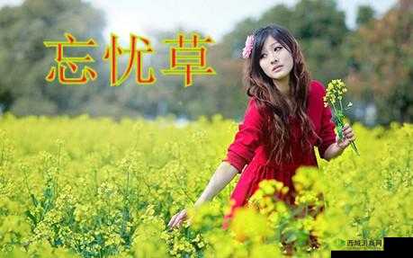 久久丫忘忧草,美味独特超受欢迎