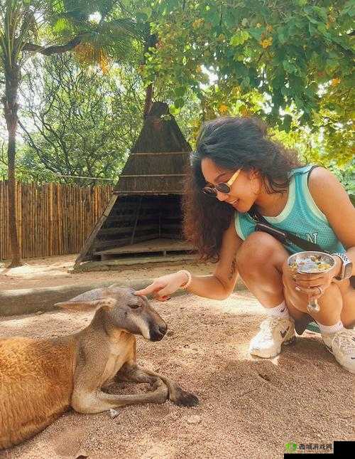 美国 Zoom 动物园：动物明星与你相约