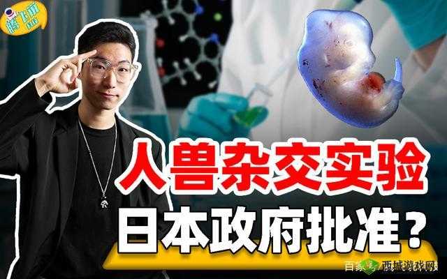 了解杂交 BUCSM 人类 SSBA 被爆料完全免费真相