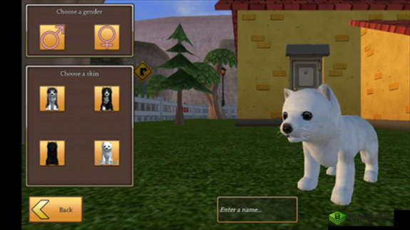 美国ZOOM动物仙踪林介绍：探秘神奇动物世界