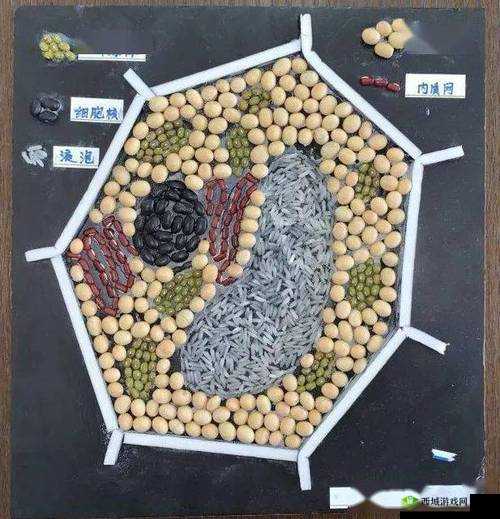 我成了生物课的教具篇 1 :那些不为人知的经历