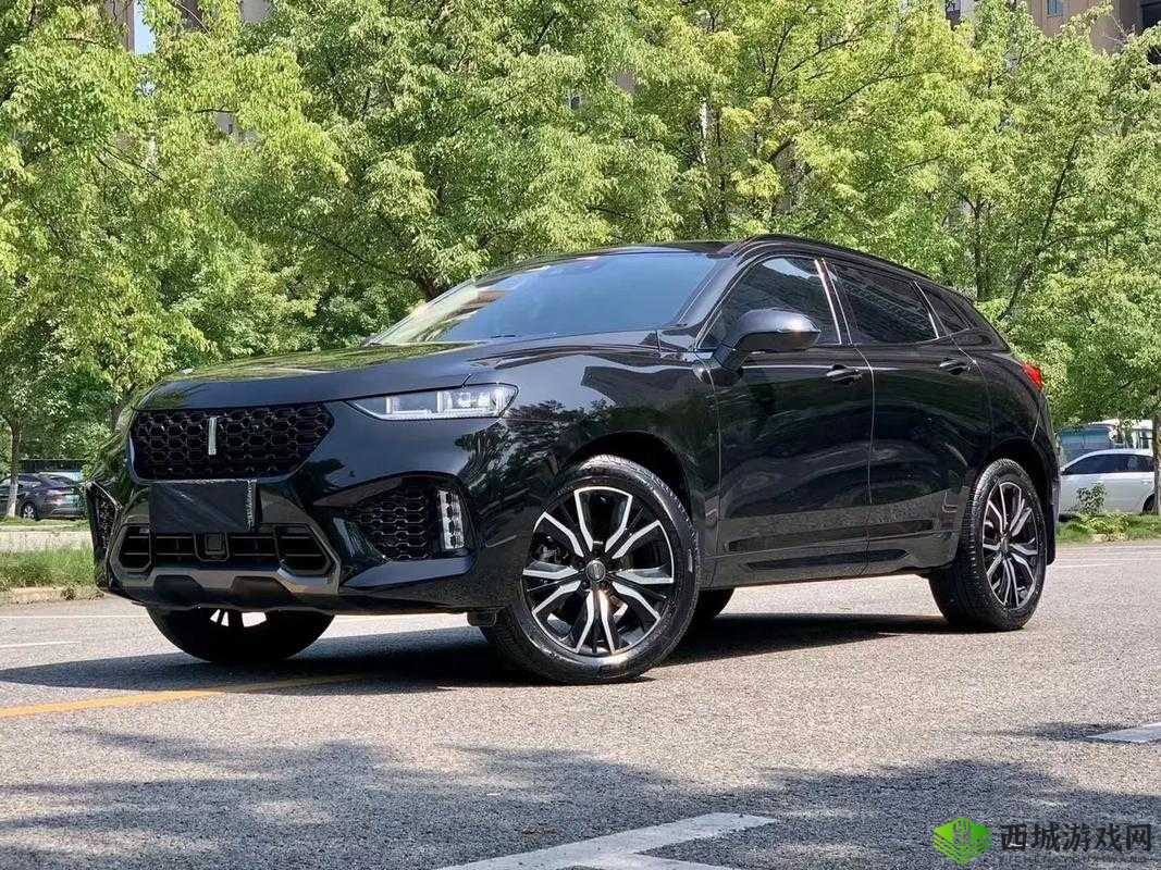 wey vv7 震撼视频：极致性能与豪华体验