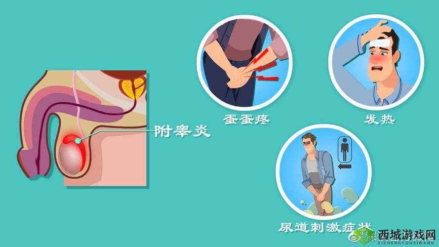 男生的小蛋蛋疼咋回事:可能的原因及应对