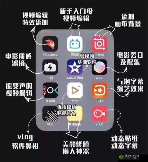 成品人短视频软件推荐：哪个更优？