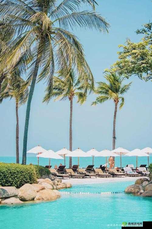 度假酒店的欢愉：享受阳光沙滩与休闲时光