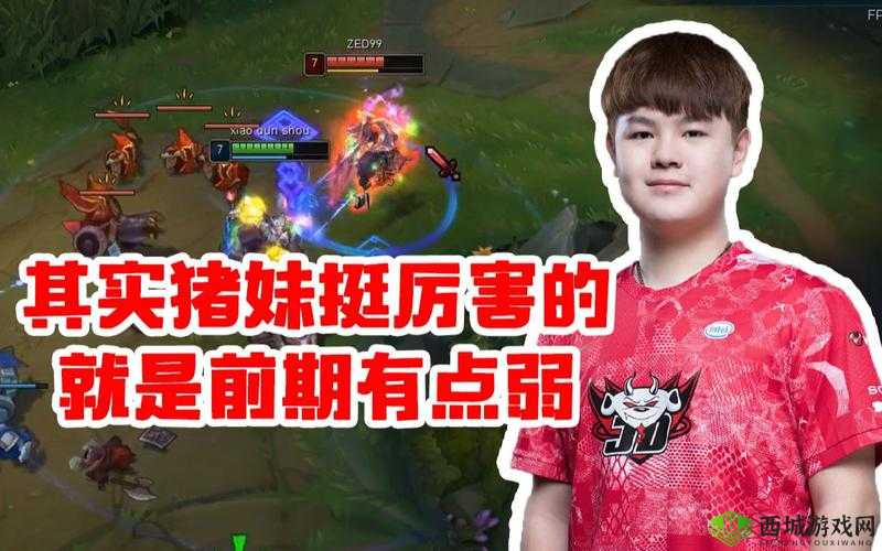 ZOOMSERVO 兽被传封禁：是谣言还是事实？