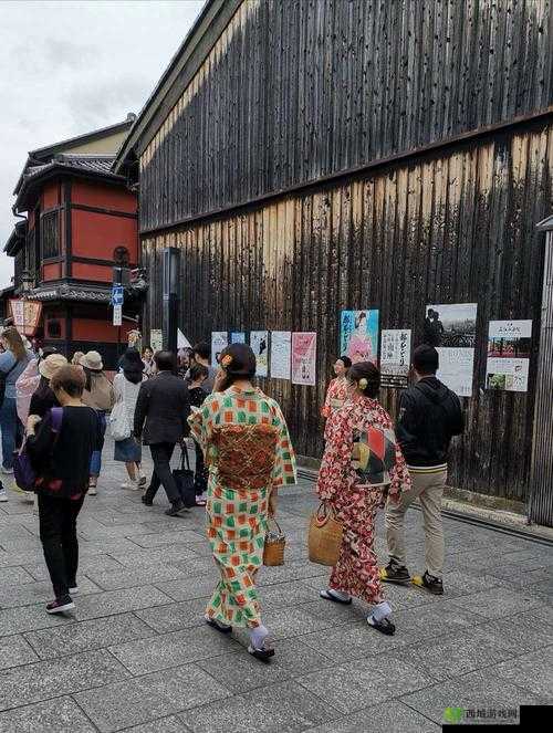 zzzjjj 日本：独特风情之旅