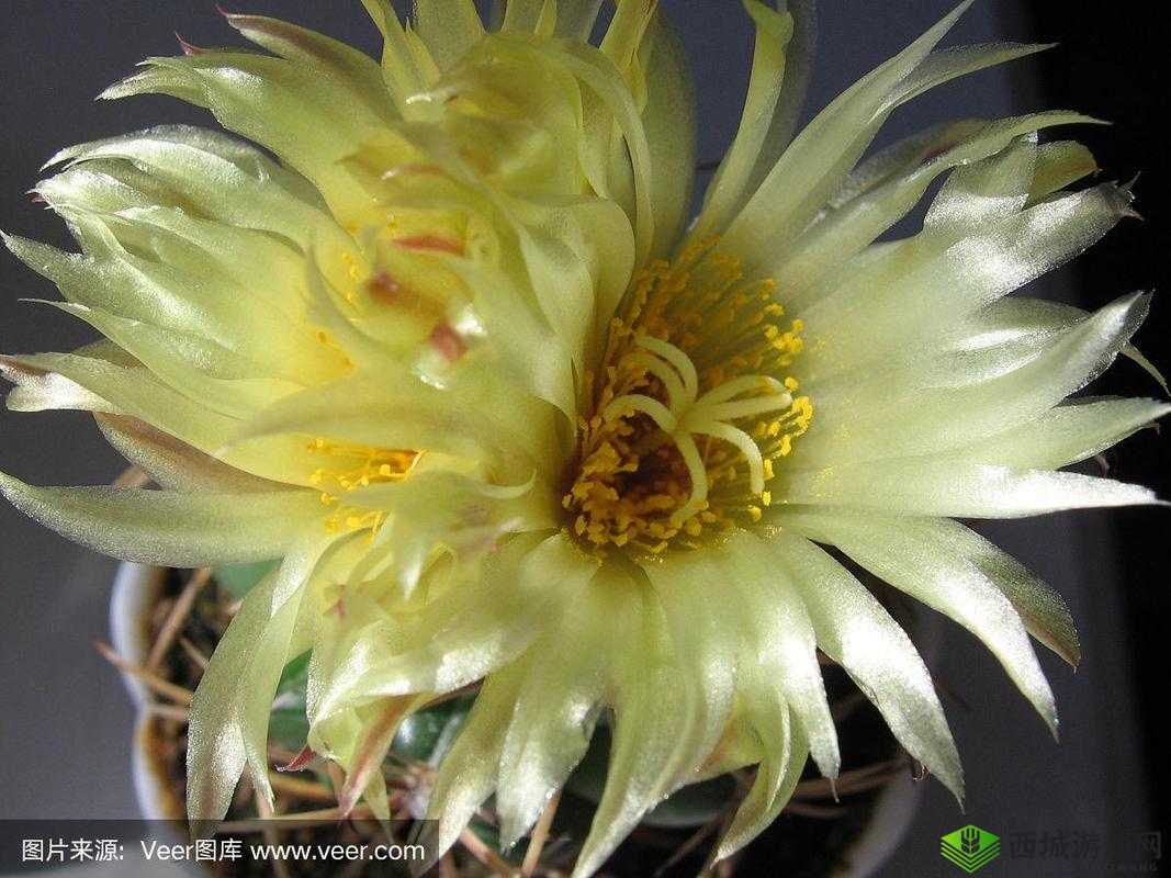 掌中美母 1 - 110 :独特魅力展现