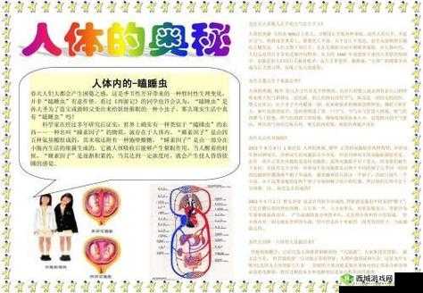 榨精病炼：探索独特病症奥秘