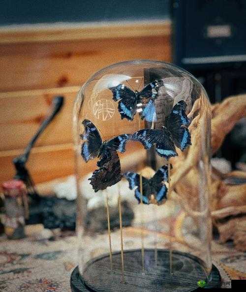 跟踪费爵娜：探寻其神秘行踪