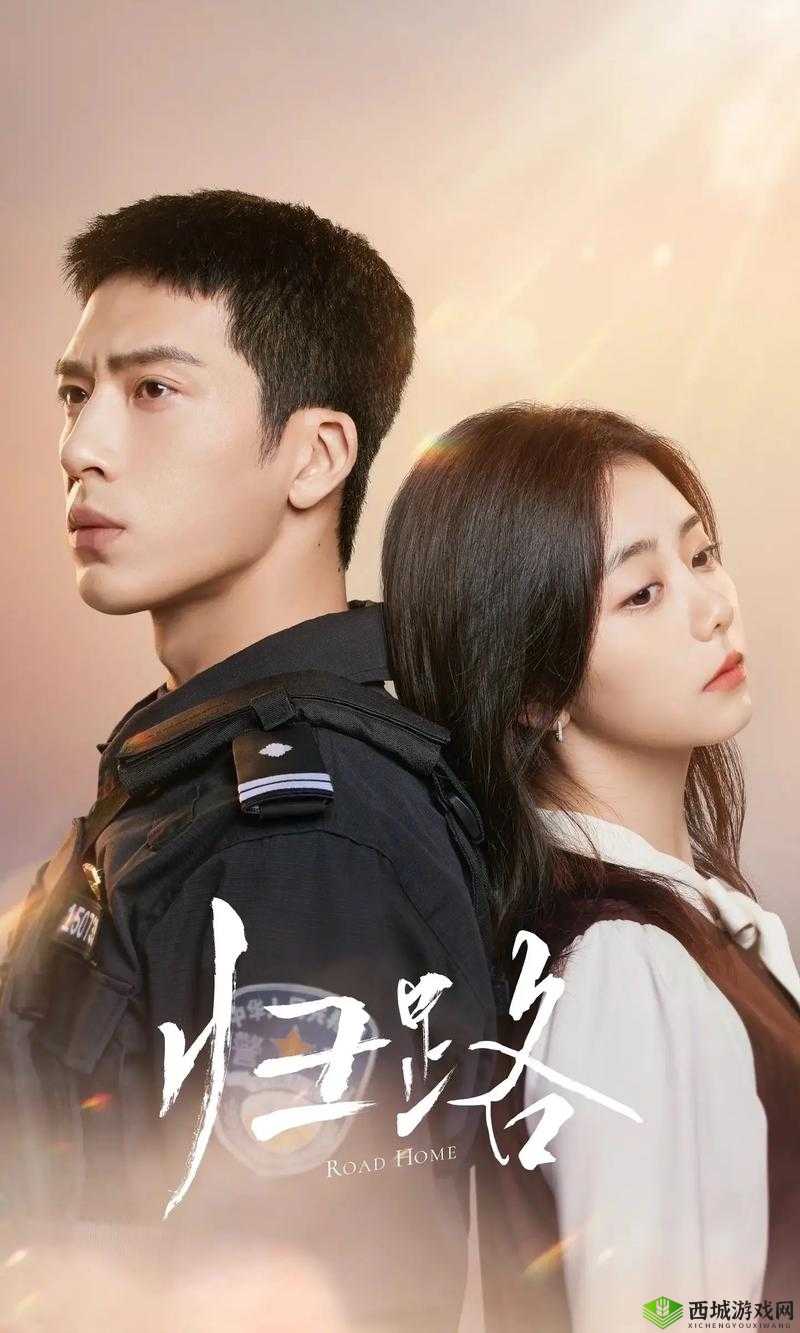 归路电视剧观看地址大揭秘