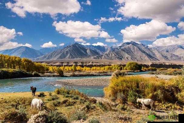 新疆：历史、文化与旅游的交汇之地