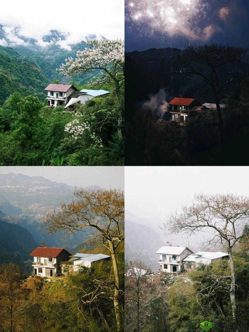 桃源深处村民喜好的大全:探索家乡之心的独特魅力与热情向往