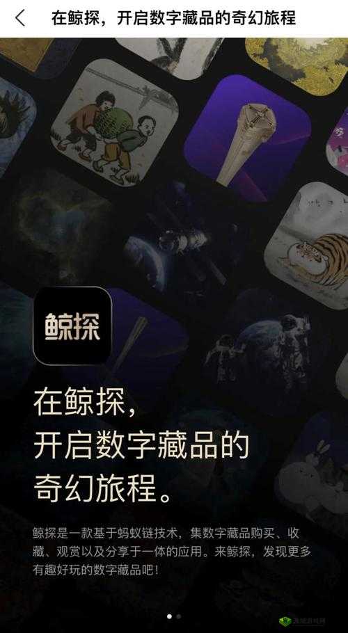 鲸探小块兽价值解析:价格及市场走势分析