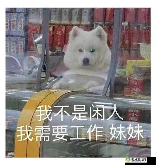 我不是猪头:天黑了,室友要看书,请点亮灯泡